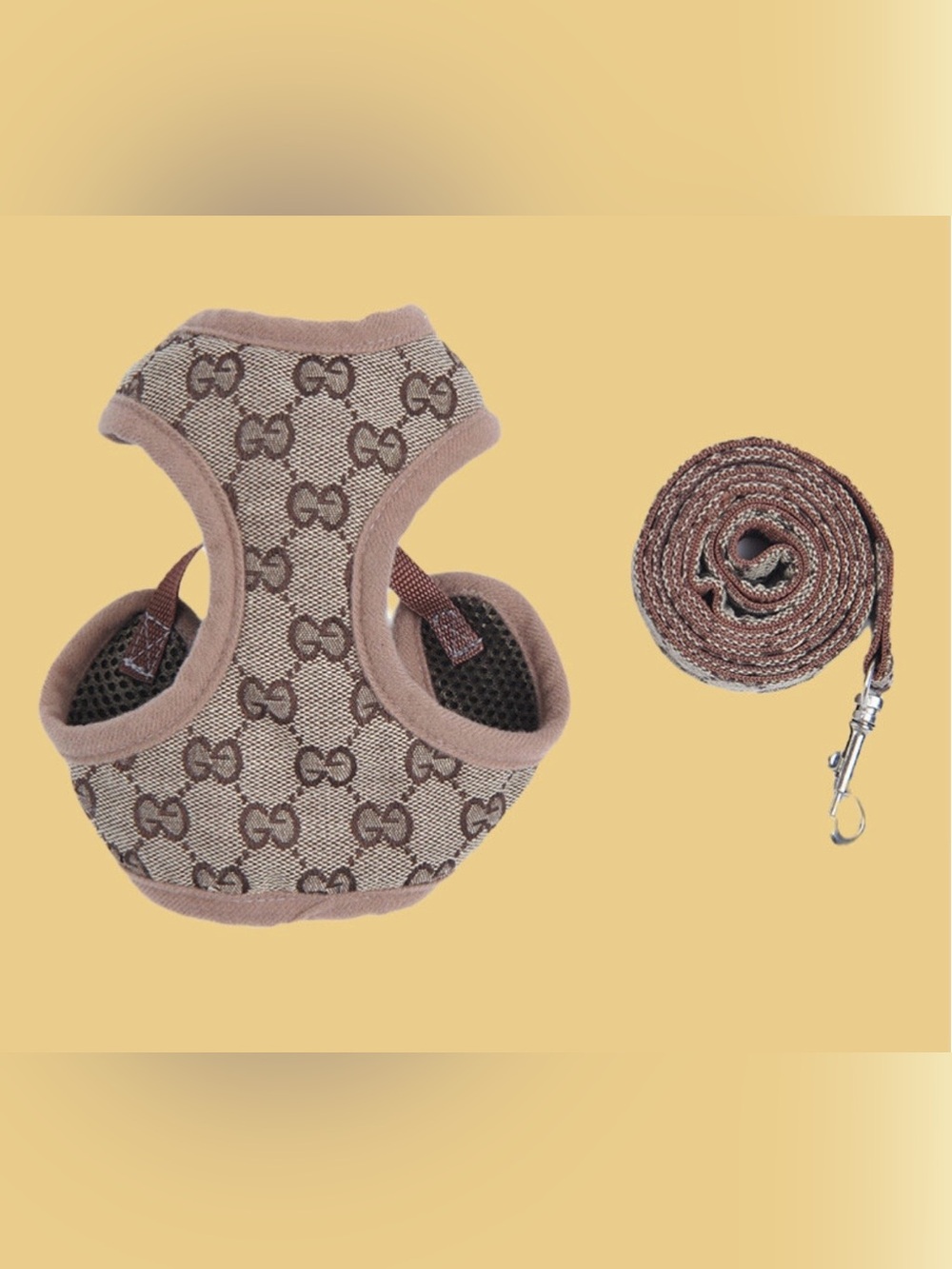 Dog harness and leash